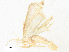  ( - CBG-A40073-A09)  @11 [ ] CreativeCommons - Attribution Share - Alike (2024) CBG Photography Group Centre for Biodiversity Genomics