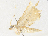  ( - CBG-A40073-F06)  @11 [ ] CreativeCommons - Attribution Share - Alike (2024) CBG Photography Group Centre for Biodiversity Genomics