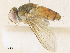  ( - CBG-A40073-H04)  @11 [ ] CreativeCommons - Attribution Share - Alike (2024) CBG Photography Group Centre for Biodiversity Genomics