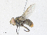  ( - CBG-A40074-C05)  @11 [ ] CreativeCommons - Attribution Share - Alike (2024) CBG Photography Group Centre for Biodiversity Genomics