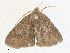  ( - CBG-A40075-E01)  @11 [ ] CreativeCommons - Attribution Share - Alike (2024) CBG Photography Group Centre for Biodiversity Genomics