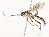  ( - CBG-A40076-F12)  @11 [ ] CreativeCommons - Attribution Share - Alike (2024) CBG Photography Group Centre for Biodiversity Genomics