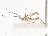  ( - CBG-A40076-G12)  @11 [ ] CreativeCommons - Attribution Share - Alike (2024) CBG Photography Group Centre for Biodiversity Genomics