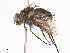  ( - CBG-A40076-H02)  @11 [ ] CreativeCommons - Attribution Share - Alike (2024) CBG Photography Group Centre for Biodiversity Genomics