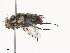  ( - CBG-A40076-H03)  @11 [ ] CreativeCommons - Attribution Share - Alike (2024) CBG Photography Group Centre for Biodiversity Genomics