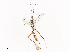  ( - CBG-A40077-B08)  @11 [ ] CreativeCommons - Attribution Share - Alike (2024) CBG Photography Group Centre for Biodiversity Genomics