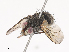  ( - CBG-A40077-C12)  @11 [ ] CreativeCommons - Attribution Share - Alike (2024) CBG Photography Group Centre for Biodiversity Genomics