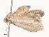  ( - CBG-A40077-D09)  @11 [ ] CreativeCommons - Attribution Share - Alike (2024) CBG Photography Group Centre for Biodiversity Genomics