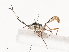  ( - CBG-A40077-G03)  @11 [ ] CreativeCommons - Attribution Share - Alike (2024) CBG Photography Group Centre for Biodiversity Genomics