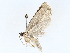  ( - BIOUG64412-A10)  @11 [ ] CreativeCommons - Attribution (2022) CBG Photography Group Centre for Biodiversity Genomics