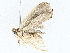  ( - BIOUG64412-B06)  @11 [ ] CreativeCommons - Attribution (2022) CBG Photography Group Centre for Biodiversity Genomics
