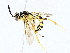  ( - BIOUG64412-G10)  @11 [ ] CreativeCommons - Attribution (2022) CBG Photography Group Centre for Biodiversity Genomics