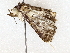  ( - BIOUG64412-H08)  @11 [ ] CreativeCommons - Attribution (2022) CBG Photography Group Centre for Biodiversity Genomics
