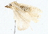  ( - BIOUG64413-D04)  @11 [ ] CreativeCommons - Attribution (2022) CBG Photography Group Centre for Biodiversity Genomics