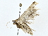  (ereMlaise01 Malaise3555 - BIOUG64414-B10)  @11 [ ] CreativeCommons - Attribution (2022) CBG Photography Group Centre for Biodiversity Genomics