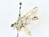  ( - BIOUG64414-B12)  @11 [ ] CreativeCommons - Attribution (2022) CBG Photography Group Centre for Biodiversity Genomics