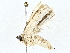  ( - BIOUG64414-C05)  @11 [ ] CreativeCommons - Attribution (2022) CBG Photography Group Centre for Biodiversity Genomics