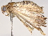  ( - BIOUG64414-C12)  @13 [ ] CreativeCommons - Attribution (2022) CBG Photography Group Centre for Biodiversity Genomics