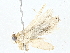  (ereBioLep01 BioLep9563 - BIOUG64414-D06)  @11 [ ] CreativeCommons - Attribution (2022) CBG Photography Group Centre for Biodiversity Genomics