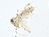  ( - BIOUG64414-D11)  @11 [ ] CreativeCommons - Attribution (2022) CBG Photography Group Centre for Biodiversity Genomics