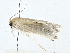  ( - BIOUG64414-D12)  @11 [ ] CreativeCommons - Attribution (2022) CBG Photography Group Centre for Biodiversity Genomics