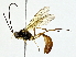  ( - BIOUG70303-D02)  @11 [ ] CreativeCommons - Attribution (2022) CBG Photography Group Centre for Biodiversity Genomics