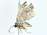  ( - BIOUG70304-A03)  @11 [ ] CreativeCommons - Attribution (2022) CBG Photography Group Centre for Biodiversity Genomics