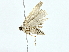  ( - BIOUG70304-A05)  @11 [ ] CreativeCommons - Attribution (2022) CBG Photography Group Centre for Biodiversity Genomics