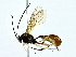  ( - BIOUG70304-C05)  @11 [ ] CreativeCommons - Attribution (2022) CBG Photography Group Centre for Biodiversity Genomics