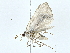  ( - BIOUG70304-D08)  @11 [ ] CreativeCommons - Attribution (2022) CBG Photography Group Centre for Biodiversity Genomics