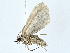  ( - BIOUG70304-D09)  @11 [ ] CreativeCommons - Attribution (2022) CBG Photography Group Centre for Biodiversity Genomics