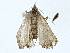  ( - BIOUG70304-G10)  @11 [ ] CreativeCommons - Attribution (2022) CBG Photography Group Centre for Biodiversity Genomics