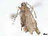  ( - BIOUG70304-H03)  @11 [ ] CreativeCommons - Attribution (2022) CBG Photography Group Centre for Biodiversity Genomics