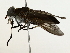  ( - BIOUG70305-E01)  @11 [ ] CreativeCommons - Attribution (2022) CBG Photography Group Centre for Biodiversity Genomics