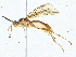  ( - BIOUG70306-D08)  @11 [ ] CreativeCommons - Attribution (2022) CBG Photography Group Centre for Biodiversity Genomics