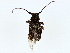  ( - BIOUG70307-A08)  @11 [ ] CreativeCommons - Attribution (2022) CBG Photography Group Centre for Biodiversity Genomics