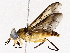  ( - BIOUG76509-F02)  @11 [ ] CreativeCommons - Attribution (2022) CBG Photography Group Centre for Biodiversity Genomics