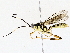  ( - BIOUG76510-A03)  @11 [ ] CreativeCommons - Attribution (2022) CBG Photography Group Centre for Biodiversity Genomics