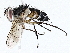  ( - BIOUG76512-E05)  @11 [ ] CreativeCommons - Attribution (2022) CBG Photography Group Centre for Biodiversity Genomics