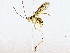  ( - BIOUG76512-G01)  @11 [ ] CreativeCommons - Attribution (2022) CBG Photography Group Centre for Biodiversity Genomics