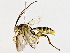  ( - BIOUG76512-H02)  @11 [ ] CreativeCommons - Attribution (2022) CBG Photography Group Centre for Biodiversity Genomics