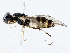  ( - BIOUG76513-F02)  @11 [ ] CreativeCommons - Attribution (2022) CBG Photography Group Centre for Biodiversity Genomics
