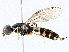  ( - BIOUG76513-F04)  @11 [ ] CreativeCommons - Attribution (2022) CBG Photography Group Centre for Biodiversity Genomics