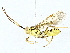  ( - BIOUG76514-A05)  @11 [ ] CreativeCommons - Attribution (2022) CBG Photography Group Centre for Biodiversity Genomics
