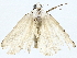  ( - BIOUG76514-C05)  @11 [ ] CreativeCommons - Attribution (2022) CBG Photography Group Centre for Biodiversity Genomics