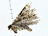  ( - BIOUG76533-B05)  @11 [ ] CreativeCommons - Attribution (2022) CBG Photography Group Centre for Biodiversity Genomics