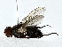  ( - BIOUG76533-E11)  @11 [ ] CreativeCommons - Attribution (2022) CBG Photography Group Centre for Biodiversity Genomics