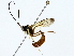  ( - BIOUG77725-B09)  @11 [ ] CreativeCommons - Attribution (2022) CBG Photography Group Centre for Biodiversity Genomics