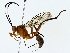  ( - BIOUG77725-D10)  @11 [ ] CreativeCommons - Attribution (2022) CBG Photography Group Centre for Biodiversity Genomics