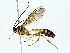  ( - BIOUG77726-B08)  @11 [ ] CreativeCommons - Attribution (2022) CBG Photography Group Centre for Biodiversity Genomics